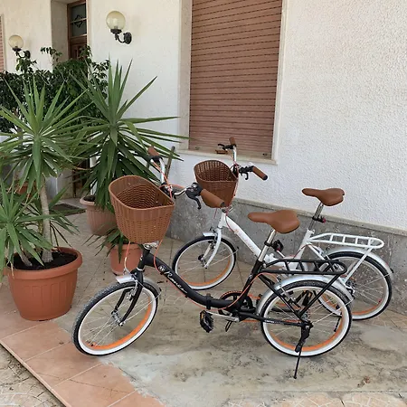 Valentina Lovely Trapani