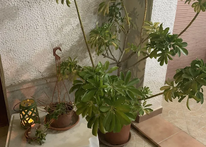 Couette-café Valentina Lovely 3*