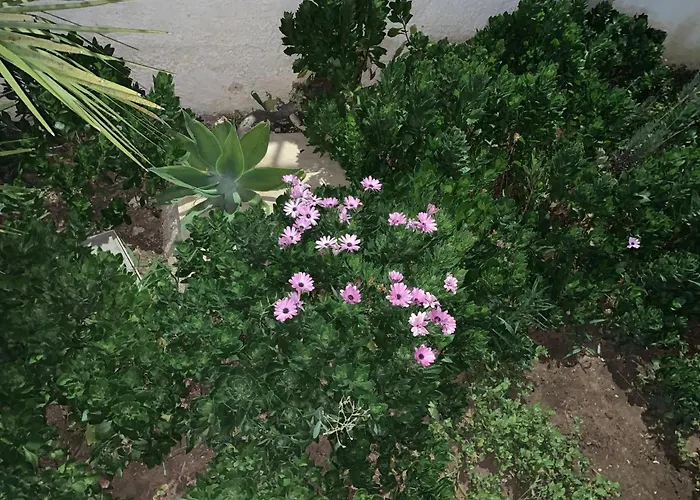 Couette-café Valentina Lovely